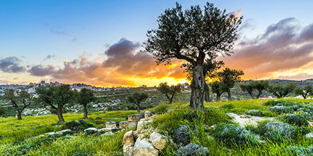 Informing the public about Israel and Christian support for Israel
